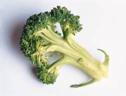 Broccoli Grows